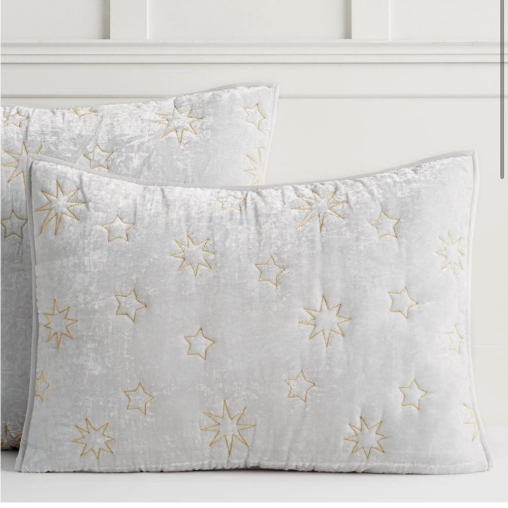 Pottery Barn Teen Harry Potter Magical Velvet Sham Standard